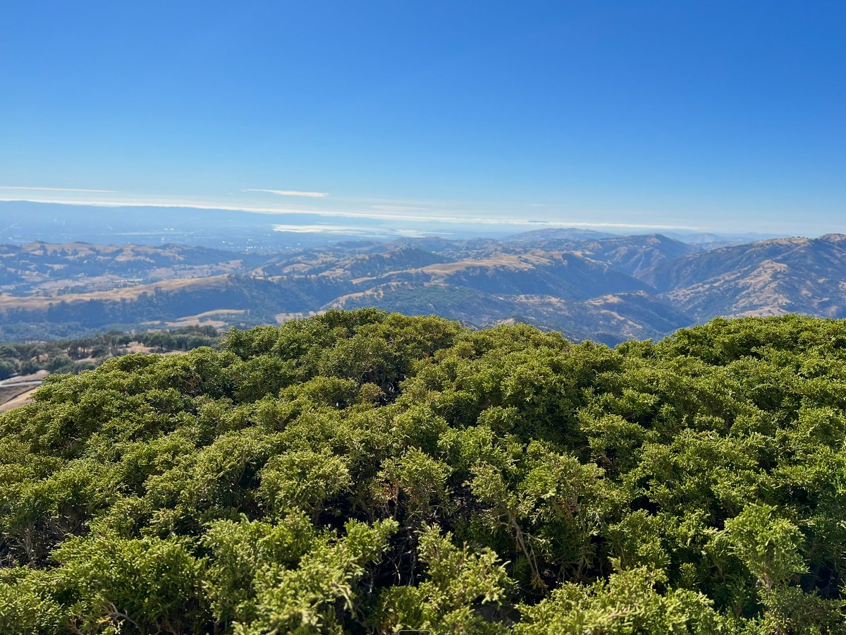 Sid Rajaram tweet media