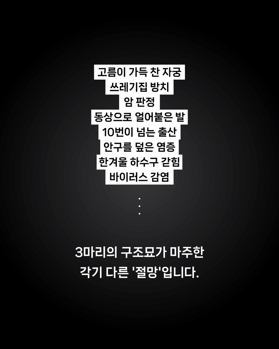 한국고양이보호협회 tweet media