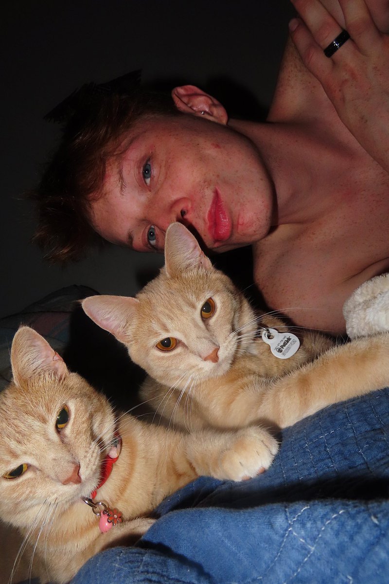 griffinxbeverly's tweet photo. #partygirl #charlixcx #Israël #gay #bottom #young #boys #cats #onlyfans https://t.co/p7PweeIsJr