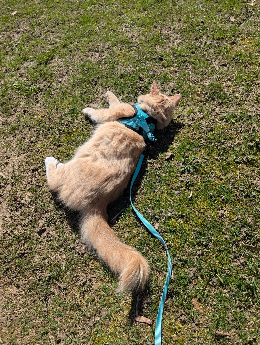 Andrew D tweet media