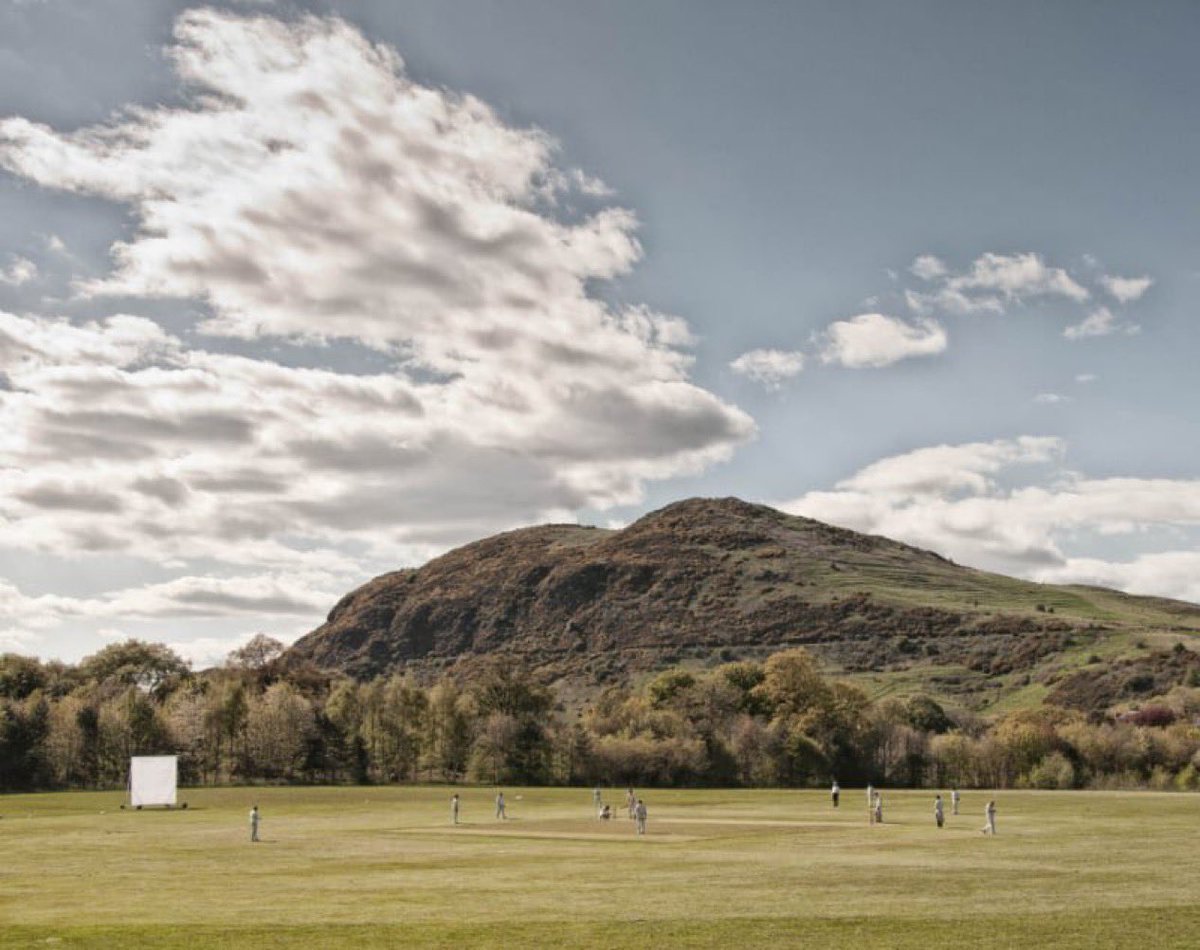 WG RumblePants tweet media