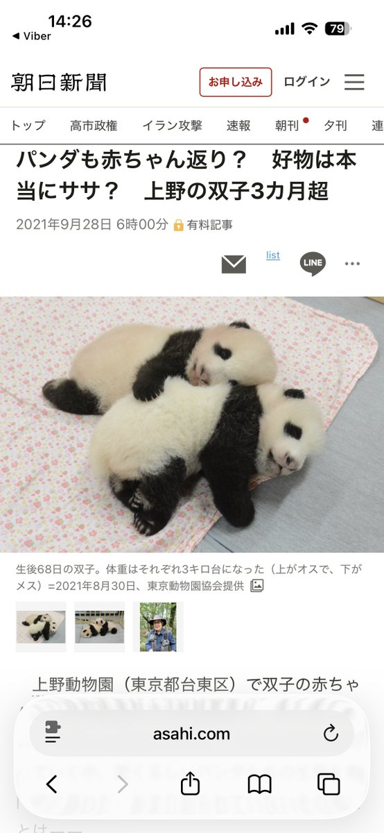 QuryChannel's tweet photo. 世界一かわいい写真見つけたかも
https://t.co/IoZ5HktBXQ https://t.co/6acRgvWPbF