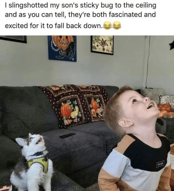 WholesomeMemes tweet media