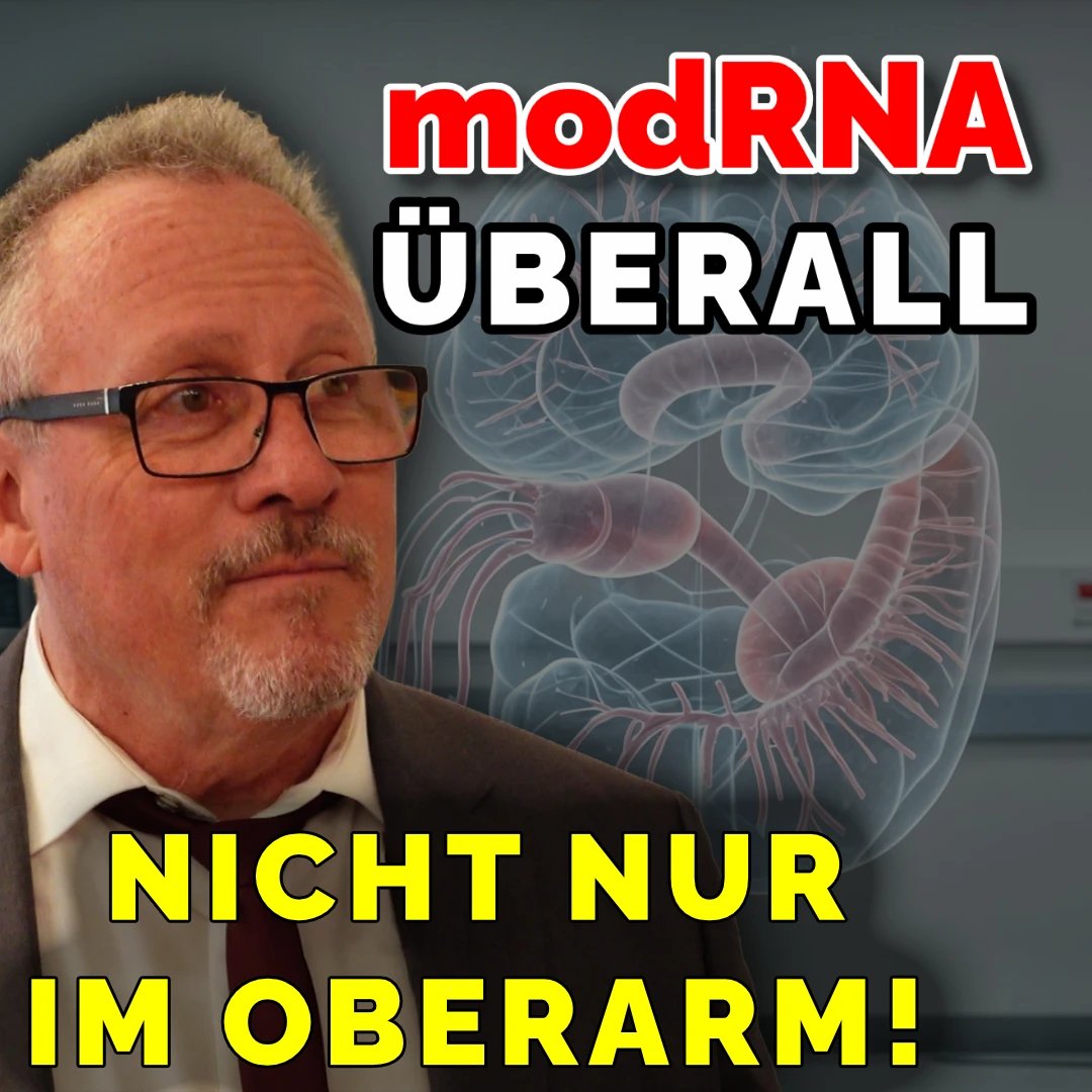 HOCH2.TV tweet media