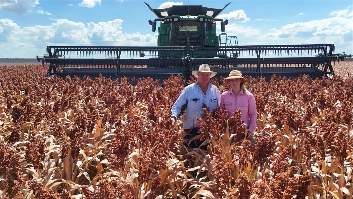 Pacific Seeds tweet media