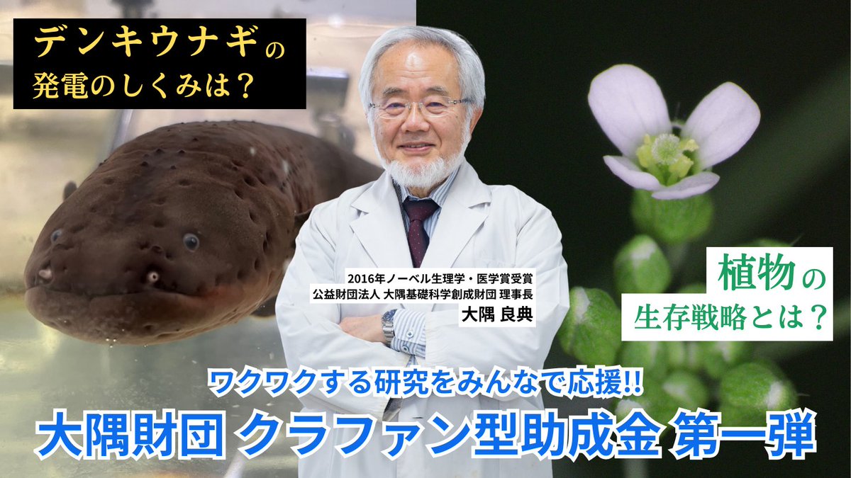 大隅基礎科学創成財団 tweet media