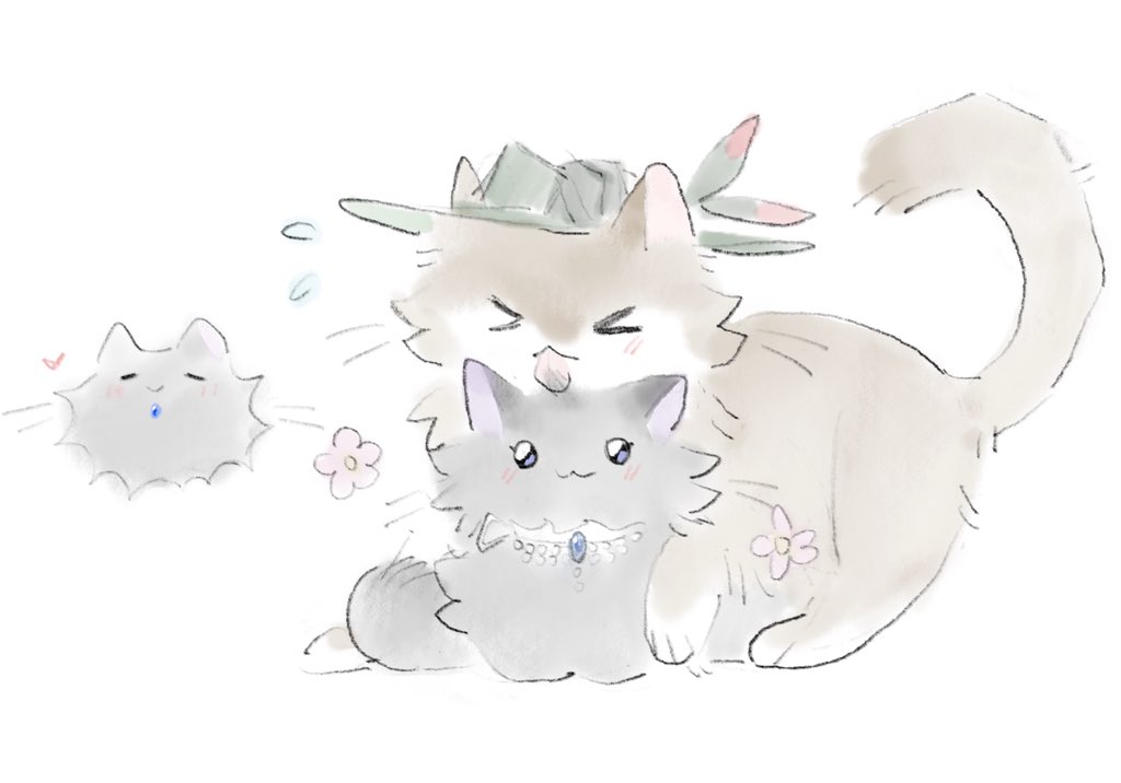 Intertidalzone tweet media