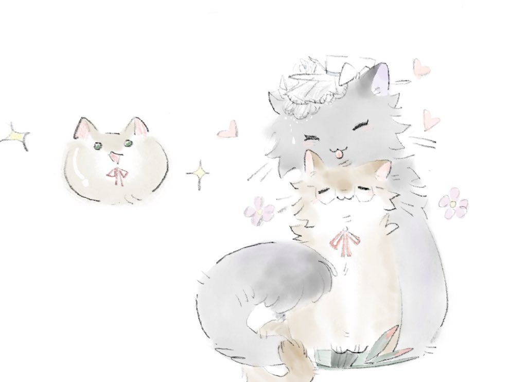 Intertidalzone tweet media