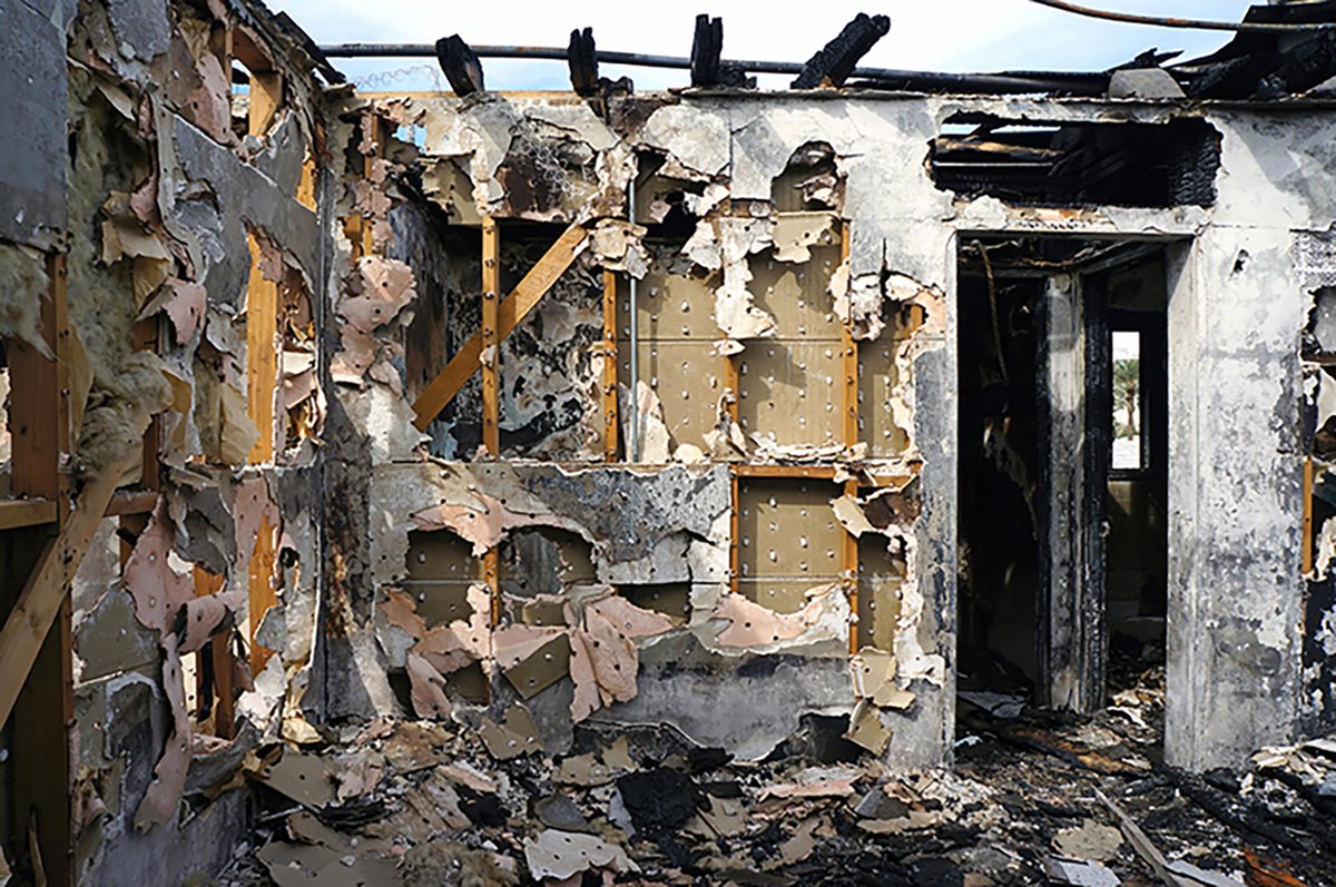 ArtRabbit tweet media