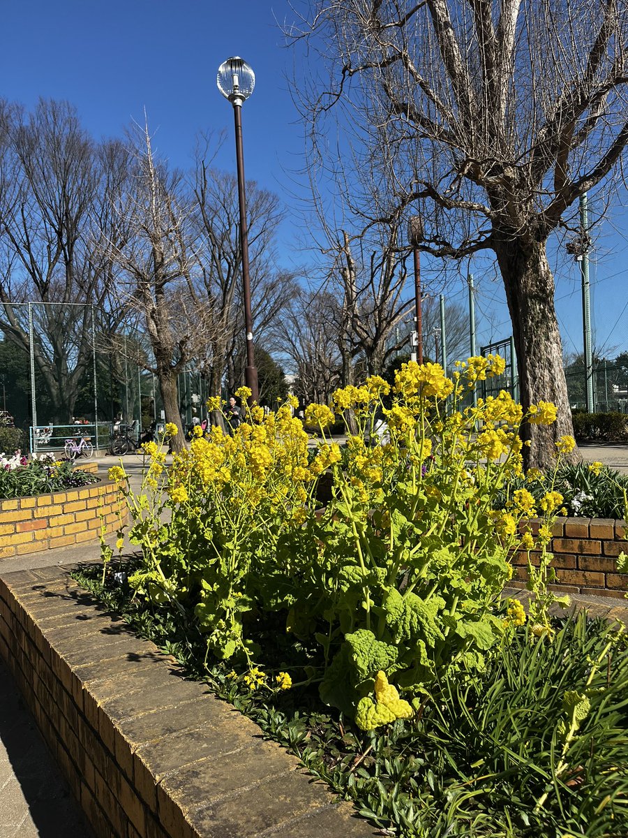 japantotheworld.com tweet media