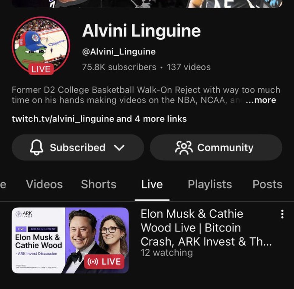 Alvini 🐸 tweet media