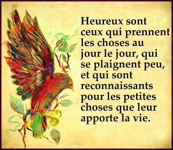 JosetteJ1's tweet photo. HEUREUX SONT CEUX...
#Ligue_des_optimistes https://t.co/nD8cgmv8dA