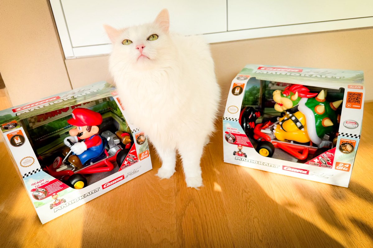 GAMES.CH tweet media