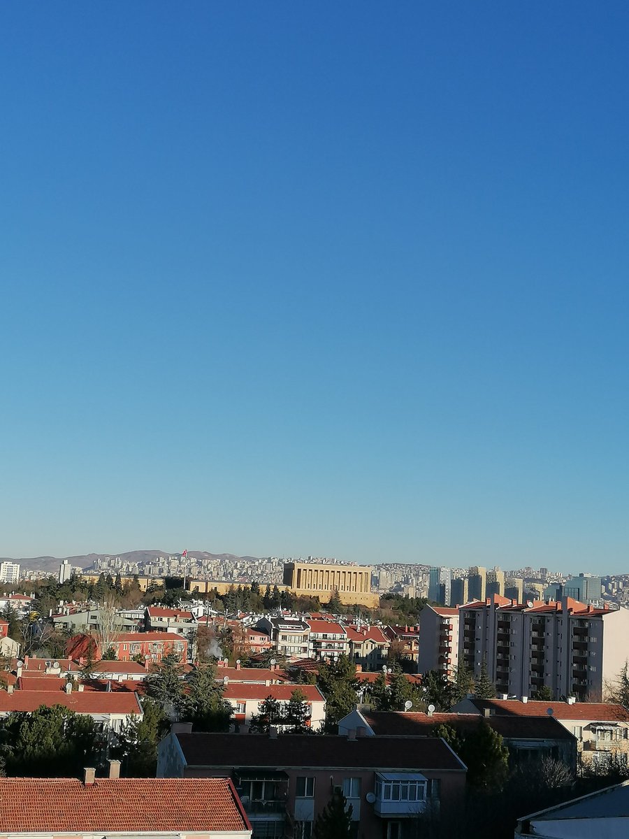 Verimay🍁 tweet media