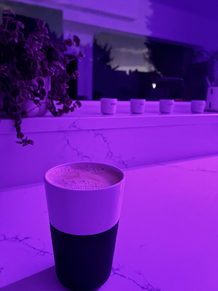 Mr_B_PE_v2 tweet media