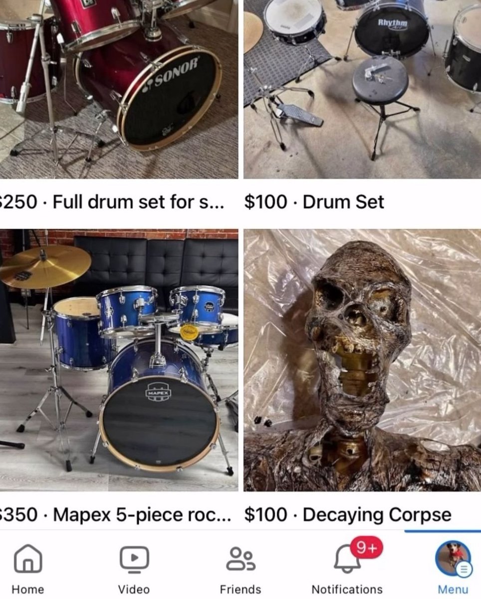 Skeletons posting (@skeletonposts) on Twitter photo 