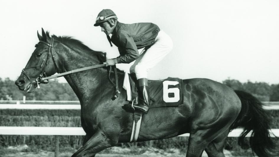 Kalum64347253's tweet photo. @Umamusumefandom I would love to see Dr Fager. An absolute beast of a horse that held the 4 titles of Horse of the year and champion turf male/older male/sprinter simultaneously in 1968. As an uma they could play on his infamous jekyll and hyde personality, psycho on the track but calm/sweet off https://t.co/Tc7qJetHg3