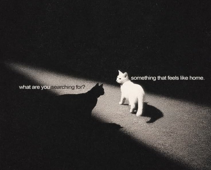 Lovandfear's tweet photo. 🤍 https://t.co/Ou39bL3zGT