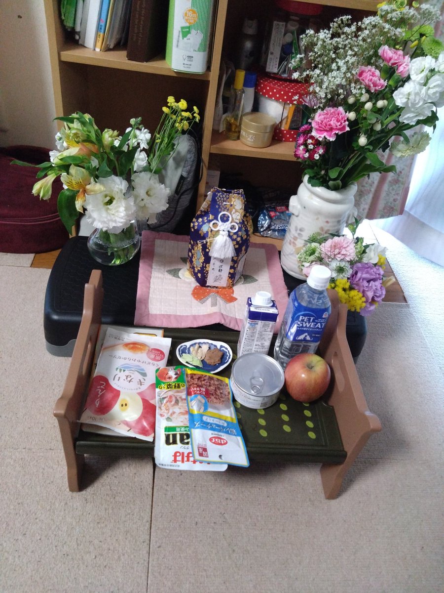 sigureinu tweet media