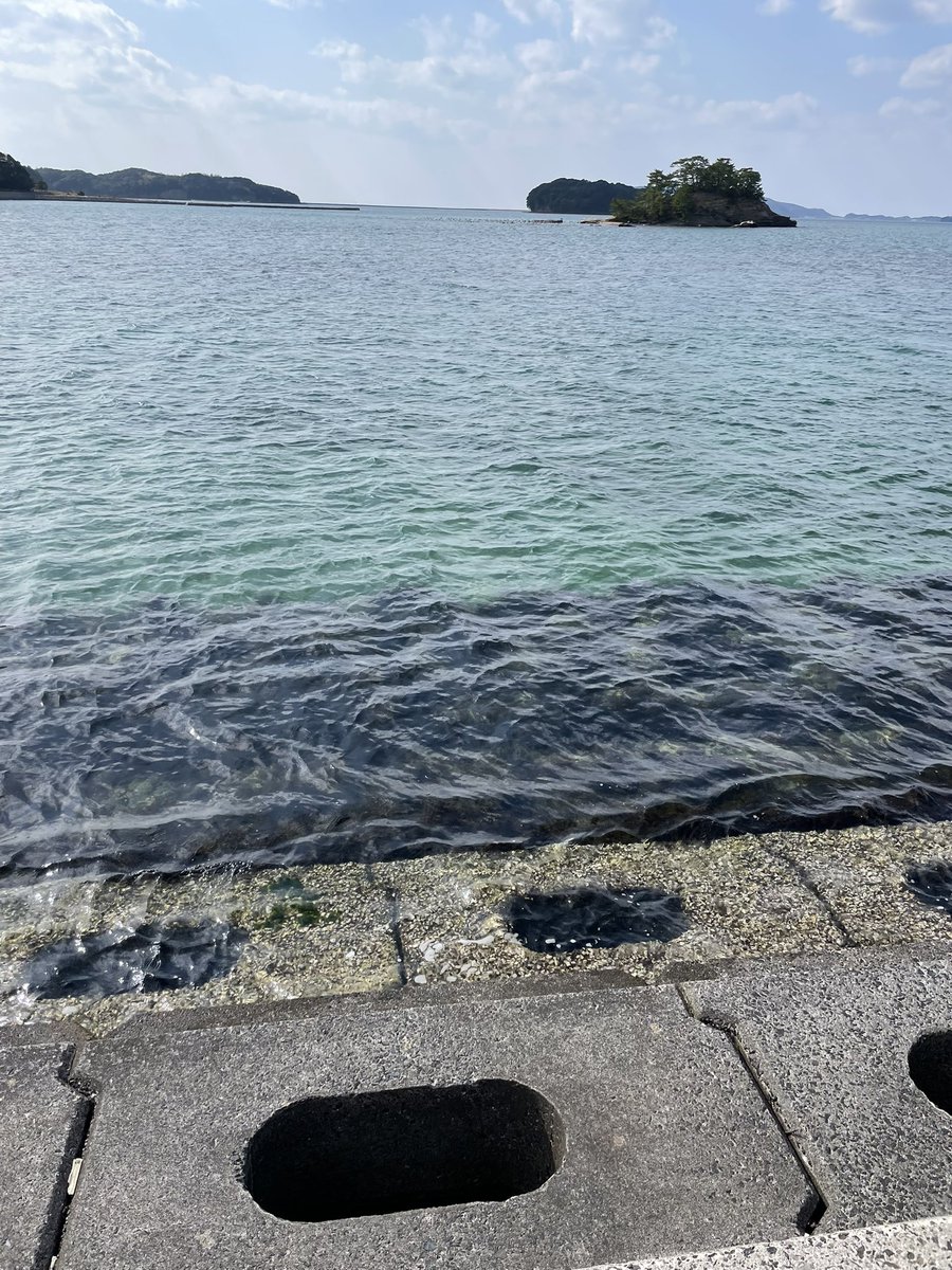 やむぎ tweet media