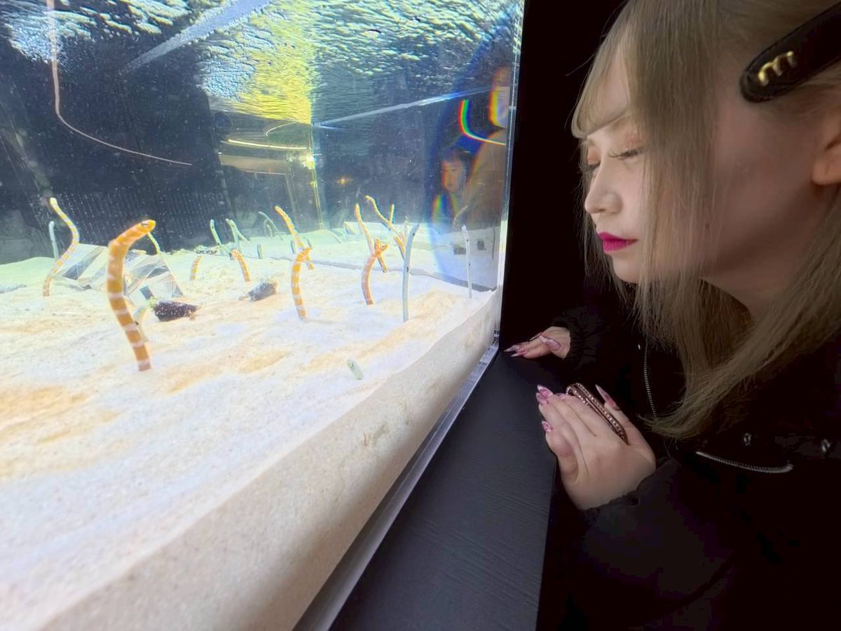 鼻にメッシュ10本と鼻先形成してからほぼ初めて他撮りしてもらったけど横顔満足度高い、やってよかった