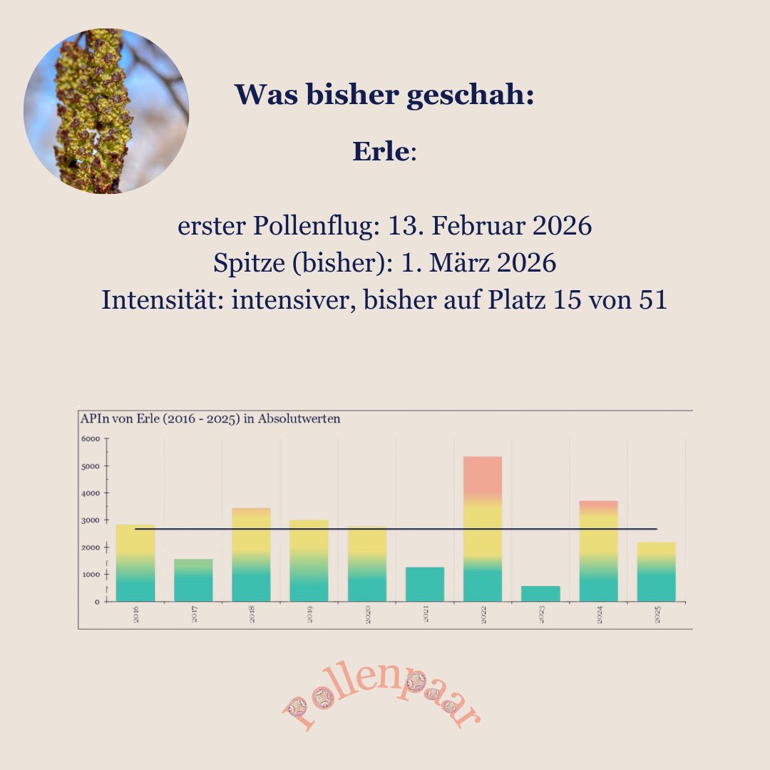pollenpaar's tweet photo. #Erle https://t.co/zLg0tq0K4t