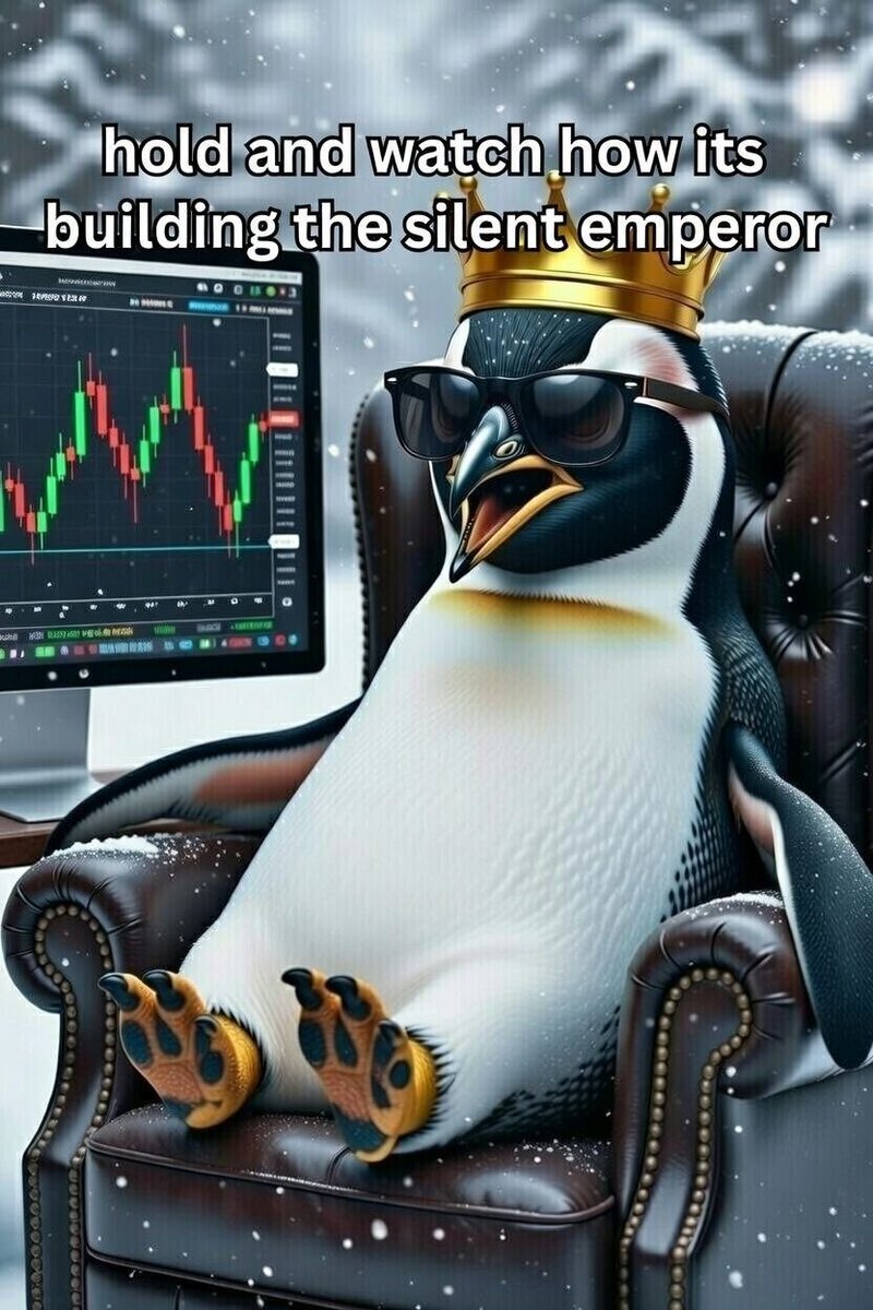 The penguin isn’t cute.
He’s calculating. He is the Silent Emperor! 🐧🚀💎