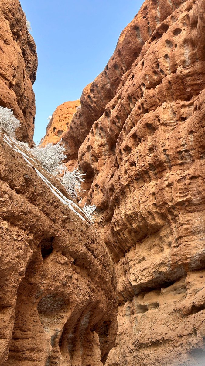 sergio luis monteiro tweet media