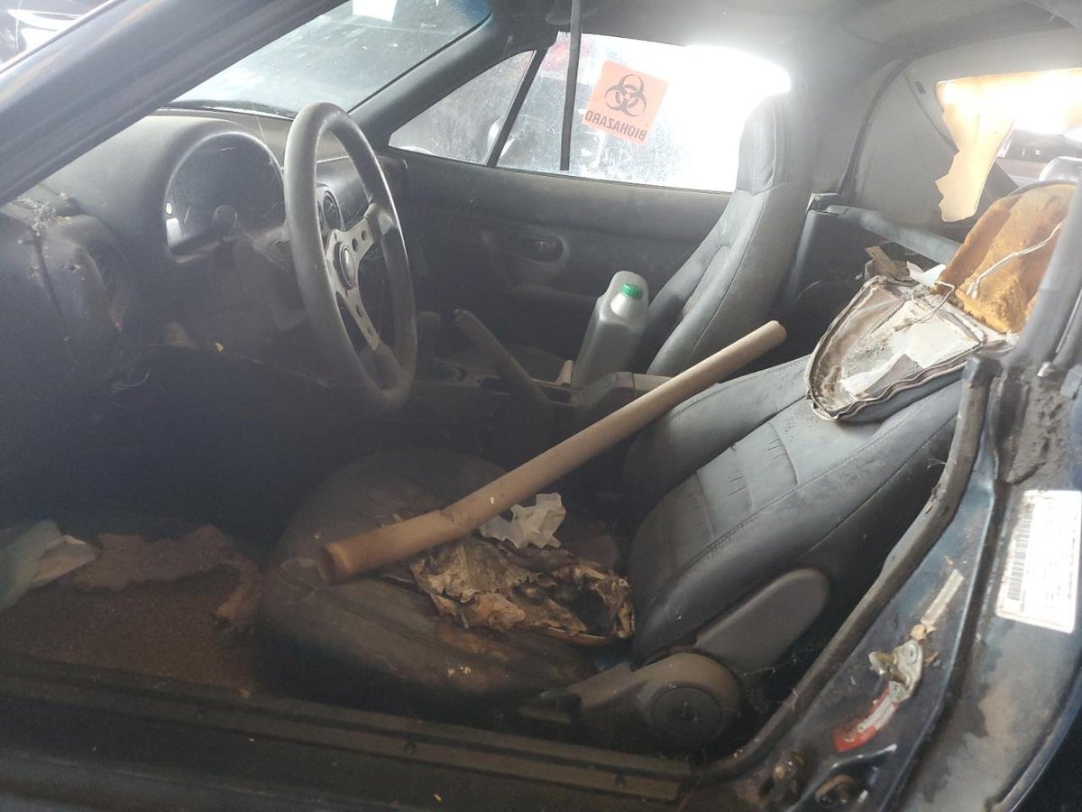 🥉 Pipkin Pippa 🔌🐰 Phase-Connect tweet media