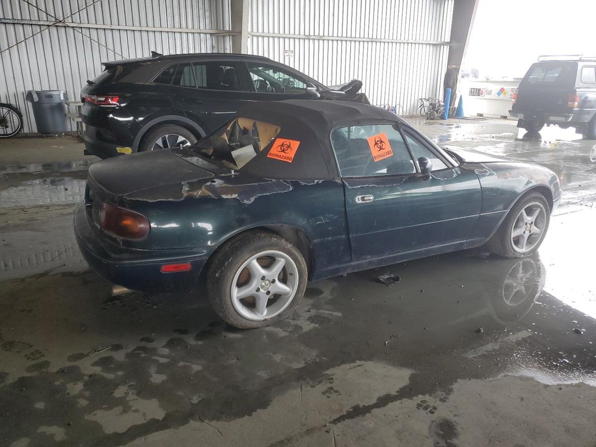 🥉 Pipkin Pippa 🔌🐰 Phase-Connect tweet media