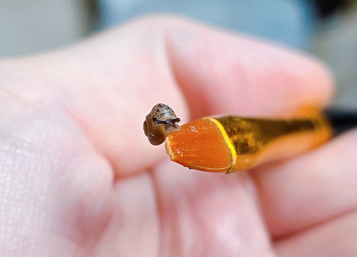 어른스러워진 얼굴