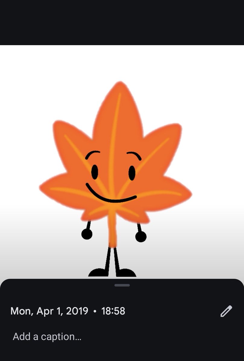 mapel 🍉 tweet media