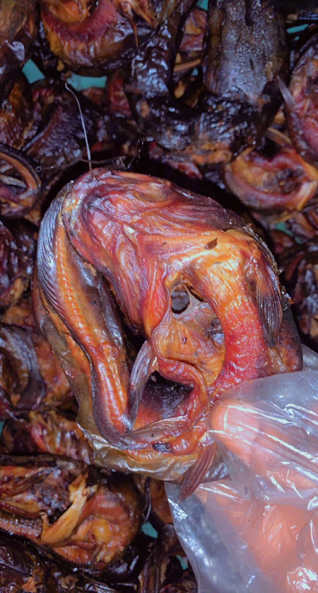 Everythingkaffy's tweet photo. Another beautiful day  is here let do amazing business deal together 

DM is open to take all your orders 💃

Dried catfish: 20k per KG

Big cockerel : 20k

I will highly appreciate your patronage 

Kindly retweet please 🙏 https://t.co/D4Cb0WrI1p