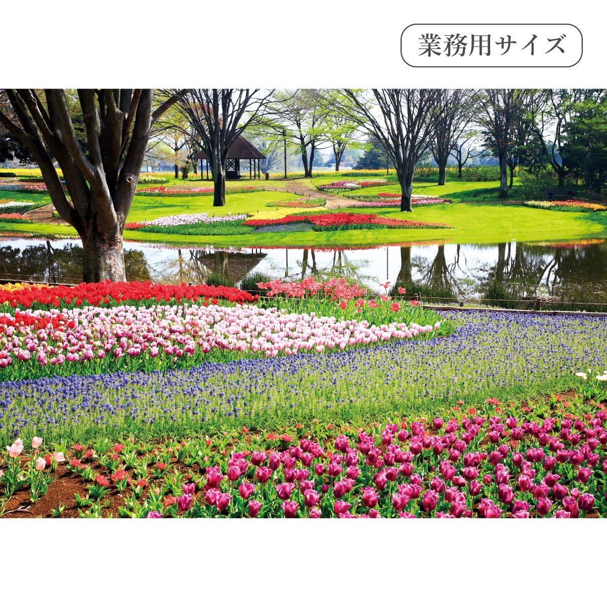 littleoasis026's tweet photo. 『お風呂ポスター専門店 小さなオアシス』です。
本日はこちらの商品を紹介致します。
【春の花と公園】LO-G-005_B
#poster #bath #showerroom #interior #お風呂ポスター #お風呂用ポスター #風呂ポスター #風呂用ポスター #おふろポスター #防水ポスター #ポスター #春の公園 #春 #施設 #大浴場 https://t.co/vqcqwhQXuq