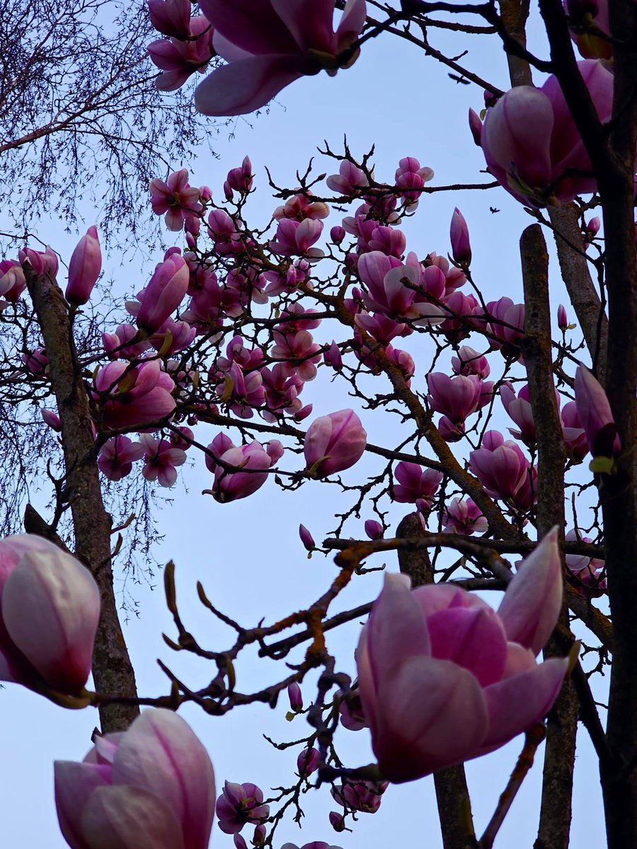 Département du Val d'Oise tweet media