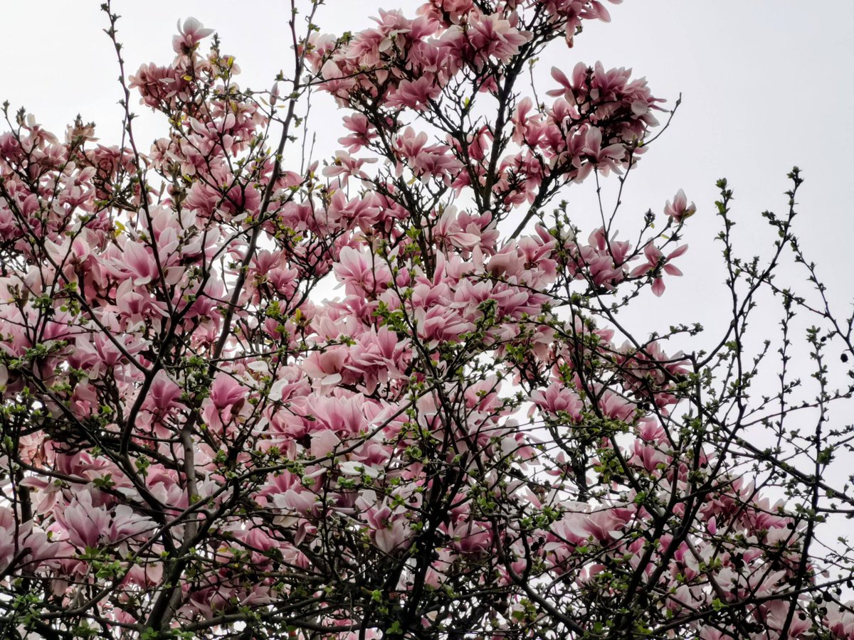 Département du Val d'Oise tweet media