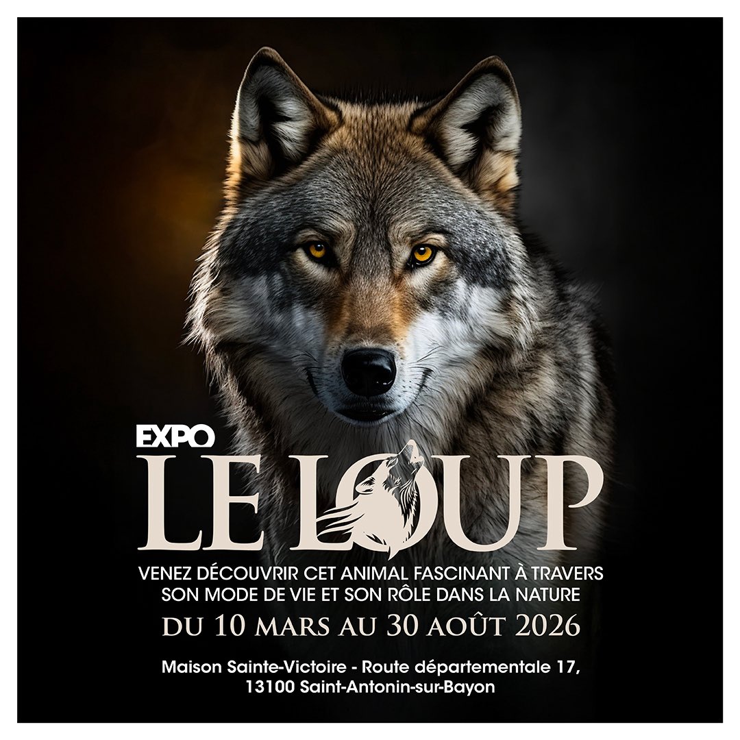 Département des Bouches-du-Rhône tweet media