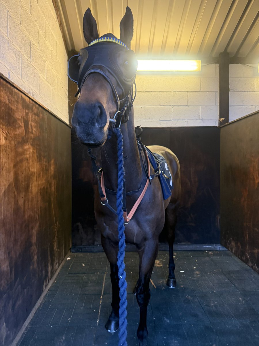 Katie Scott Racing tweet media