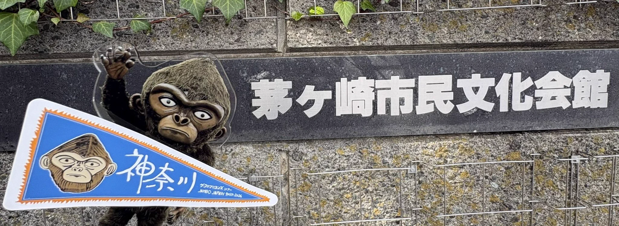 ザ・クロマニヨンズ on X: 