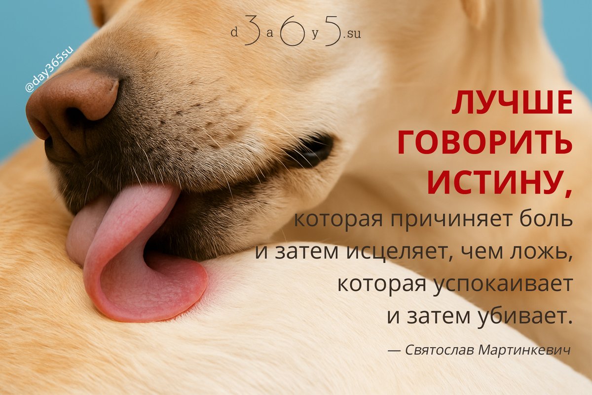 Правда может ранить в моменте, но она очищает и дает шанс изменить.

Ложь же лишь откладывает боль, делая ее сильнее позже.

<a href="/day365su/">365 дней мотиваций</a>
#цитатокартинки