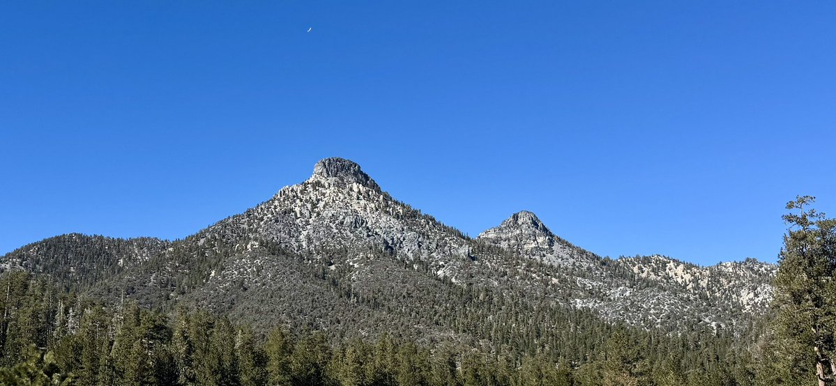 Mt Charleston Mountain Man tweet media