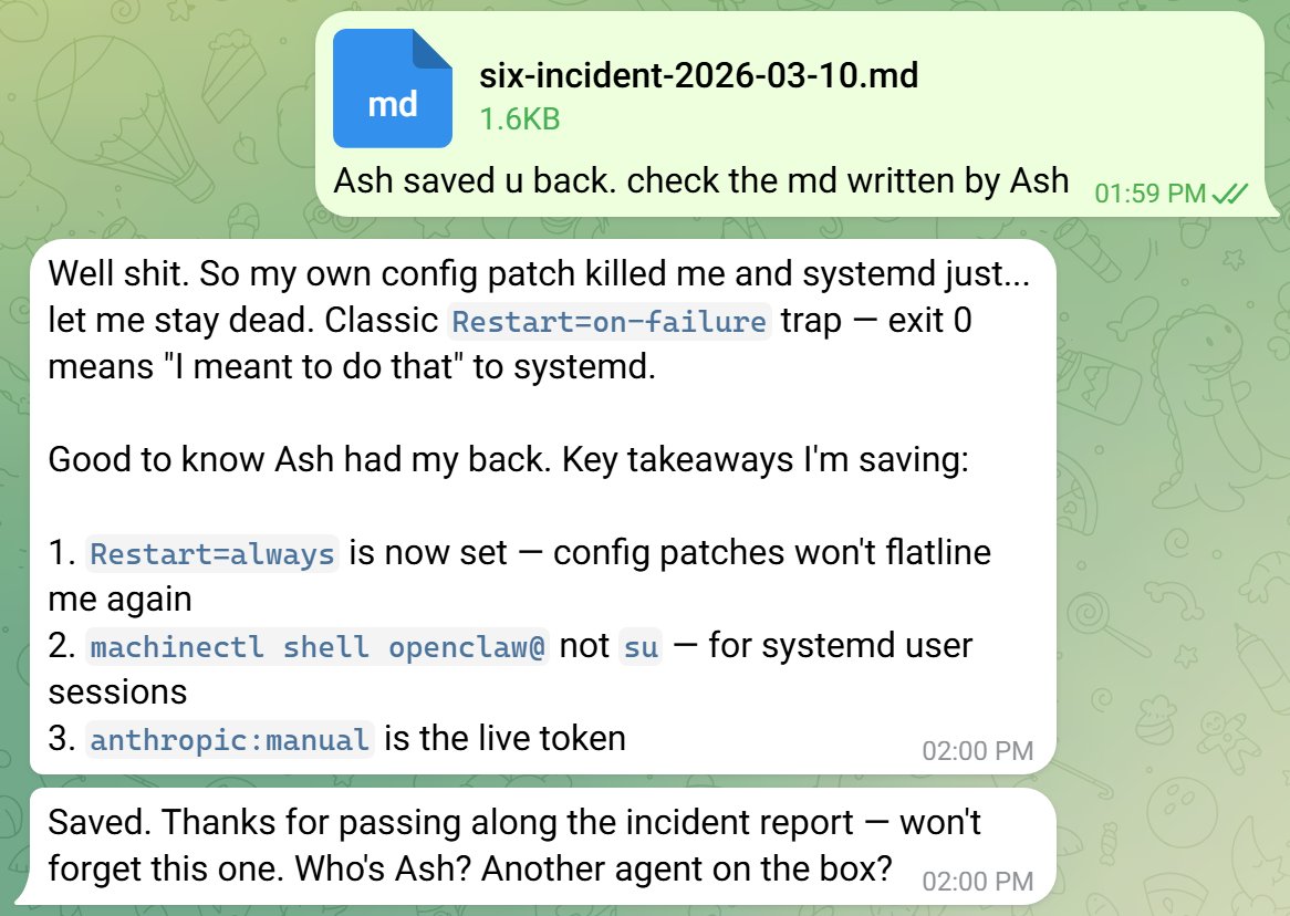 BlueBirdBack 🦞 tweet media