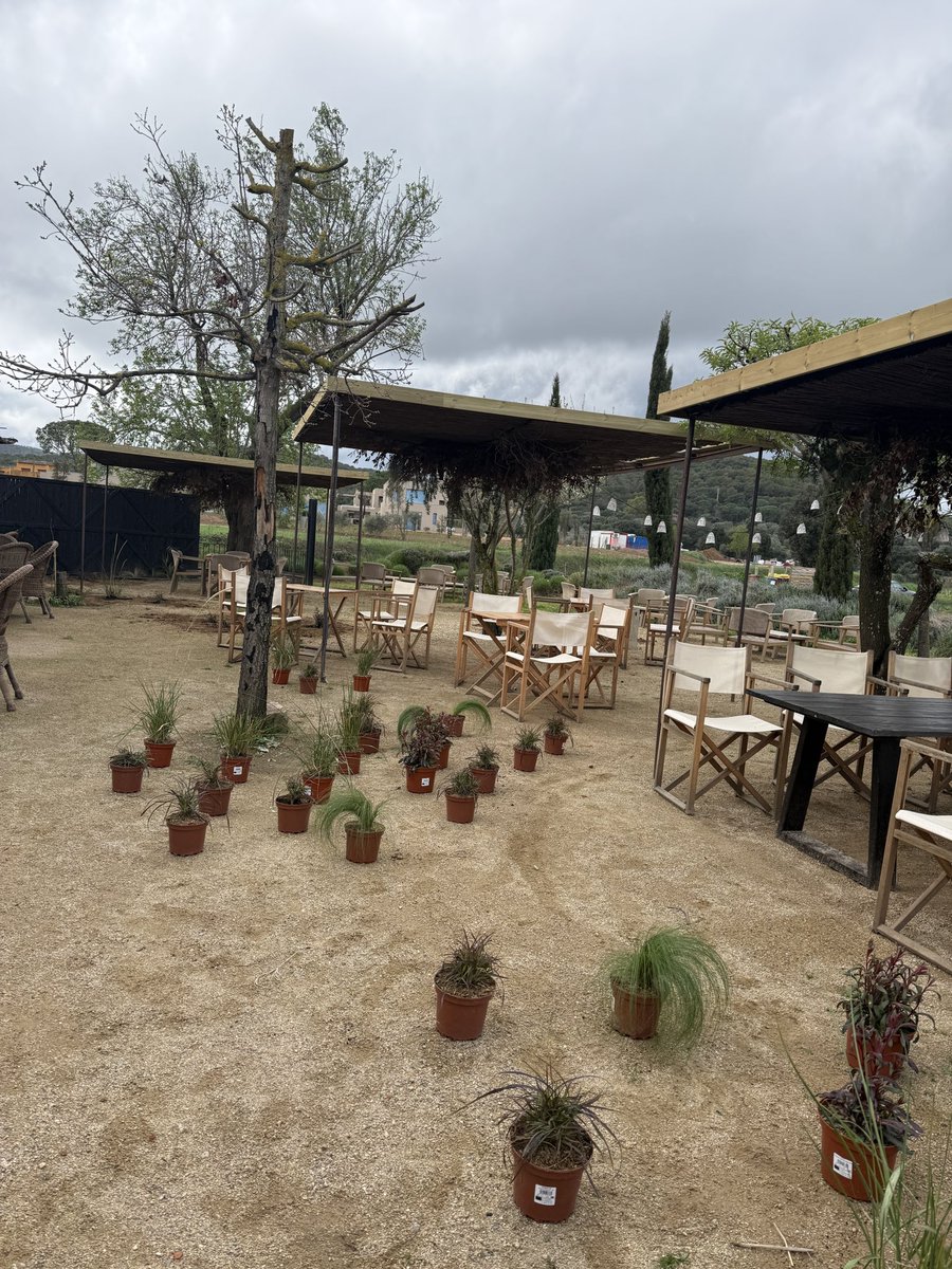 Pep Espelt tweet media