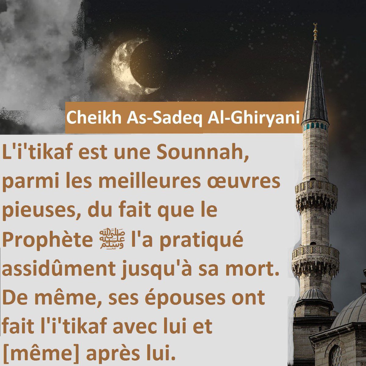 Les Savants du Maghreb tweet media