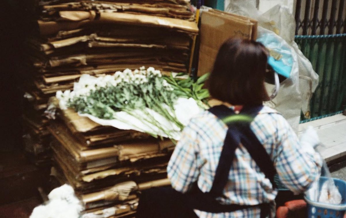 septemty tweet media