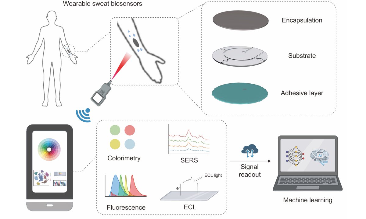 Soft Science tweet media