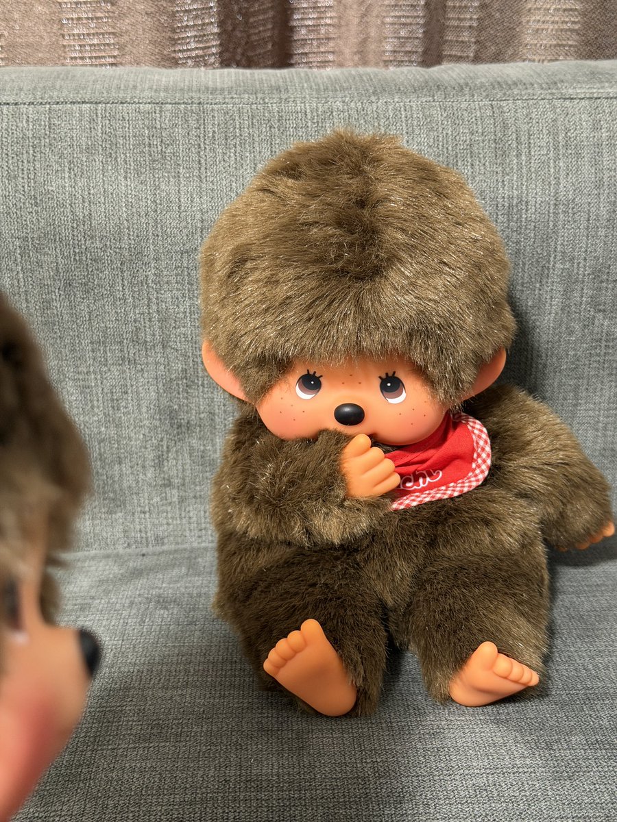 ふたば🌱 tweet media