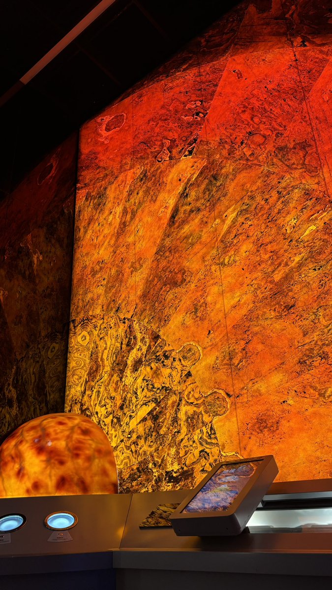 じゅん🕊️ tweet media