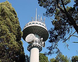 Cedip - UC - 29 años Chile tweet media