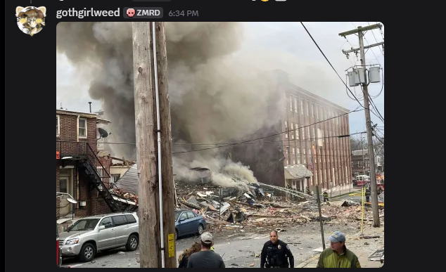 layla 𓆟 tweet media